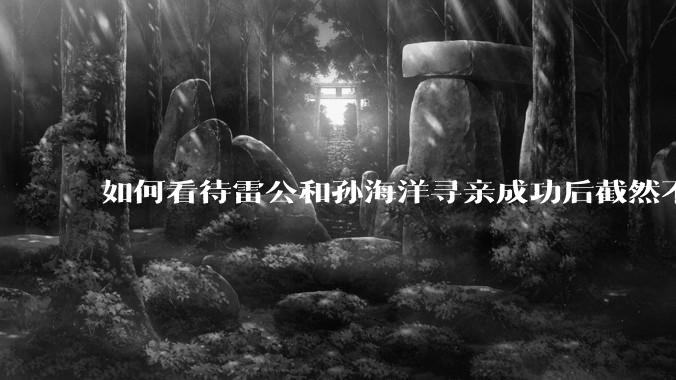 如何看待雷公和孙海洋寻亲成功后截然不同的结局？